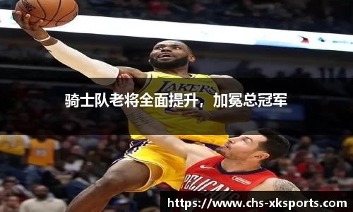 星空体育网站入口