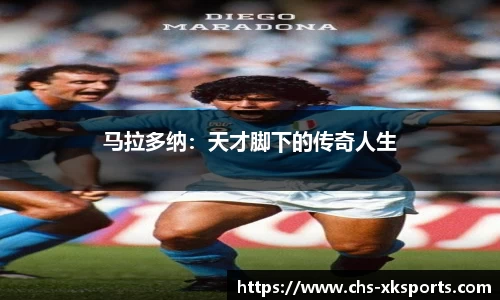 星空体育官网