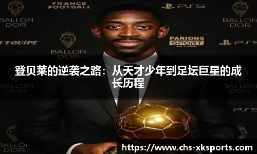 星空体育在线官网